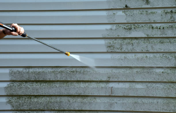 Best Exterior Home Cleaning  in Palm River Clair Mel, FL